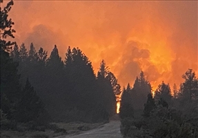 آتش سوزی در کالیفرنیا هزاران هکتار زمین‌ را سوزاند